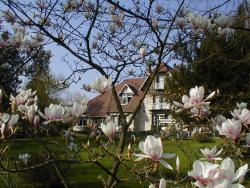 jardin de giverny